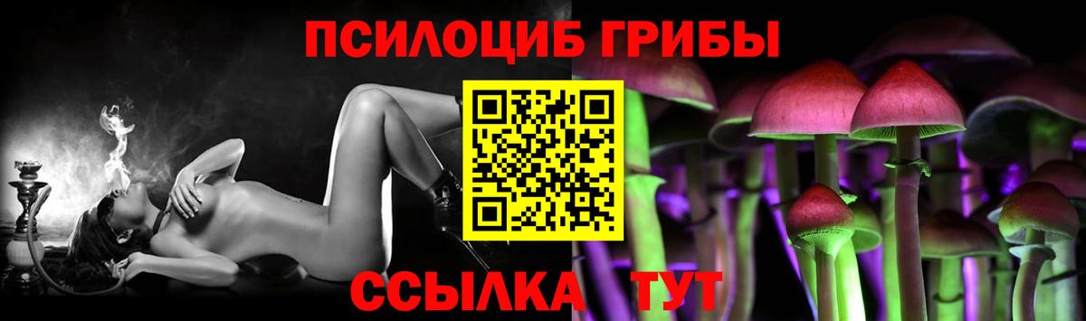 Галлюциногенные грибы Cubensis Сафоново